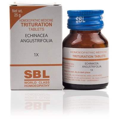 SBL Echinacea Angustrifolia 1X Tablets - Online USA