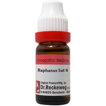 Dr. Reckeweg Raphanus Sativus | Buy Reckeweg India Products 