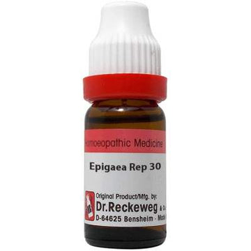 Dr. Reckeweg Epigaea Repens | Buy Reckeweg India Products 