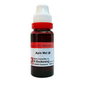 Dr. Reckeweg Apis Mellifica | Buy Reckeweg India Products 