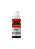 Dr. Reckeweg Fagopyrum Esculentum | Buy Reckeweg India Products 