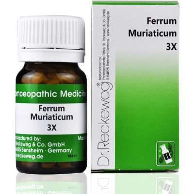 Dr. Reckeweg Ferrum Muriaticum 3X - Daily Needs Products
