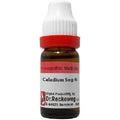 Dr. Reckeweg Caladium Seg Dilution