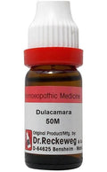 Dr. Reckeweg Dulcamara Dilution