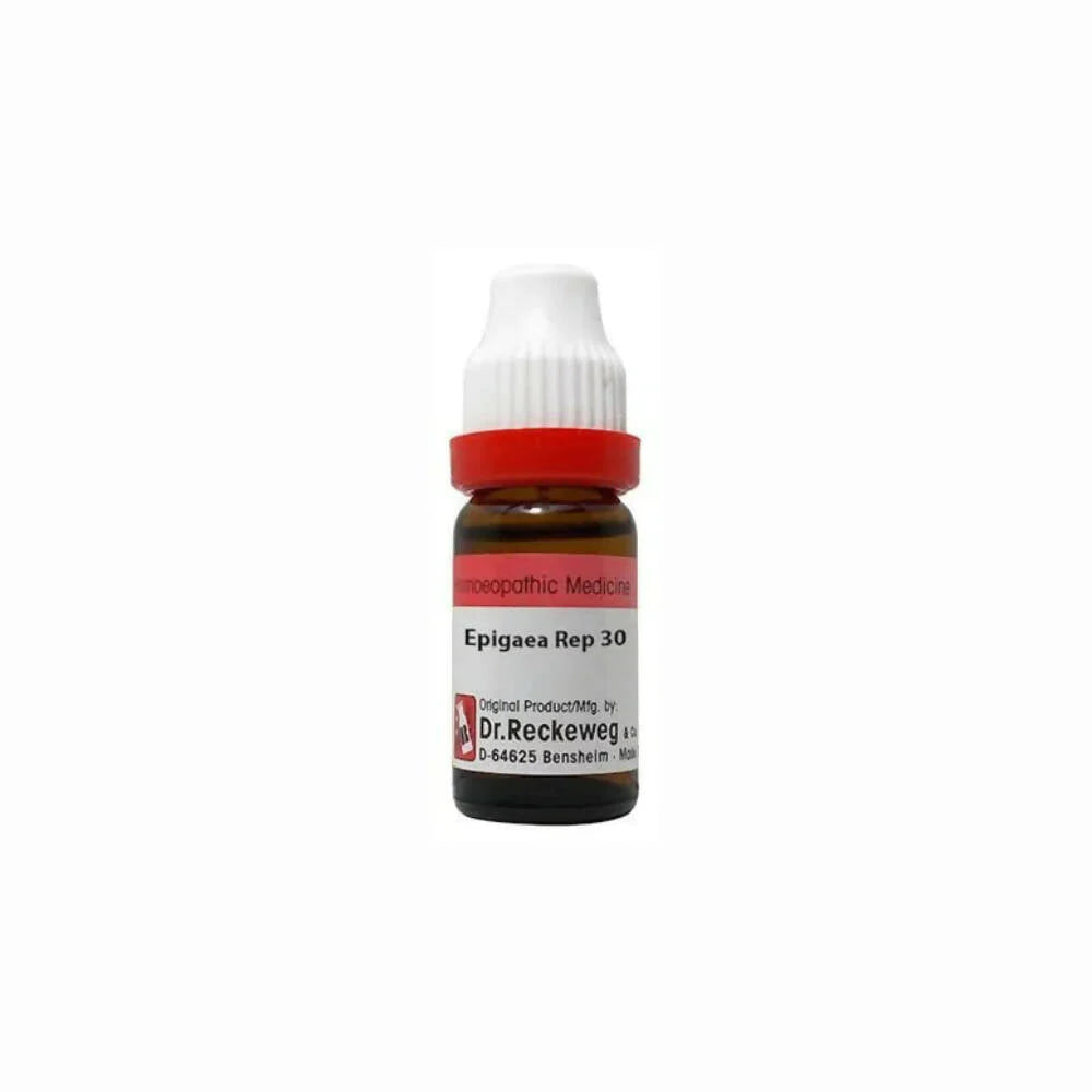 Dr. Reckeweg Epigaea Rep Dilution