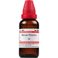 Dr. Willmar Schwabe India Bacopa Munnieri Mother Tincture