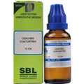 sbl cenchris contortrix  - 6 CH