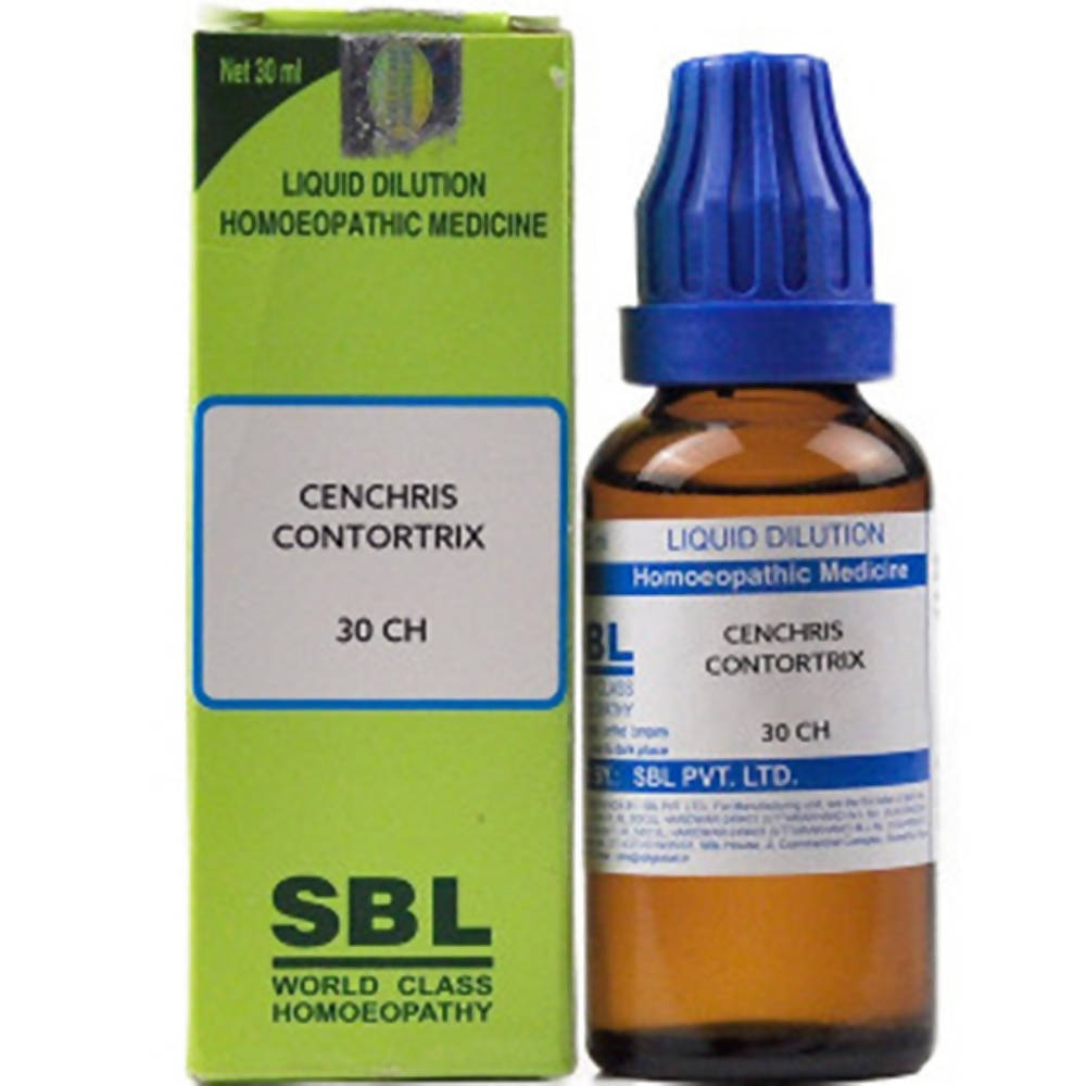 sbl cenchris contortrix  - 30 CH