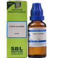 sbl citrus vulgaris  - 6 CH