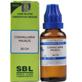 sbl convallaria majalis  - 30 CH