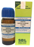 sbl spiritus quercus glandium  - 6 CH
