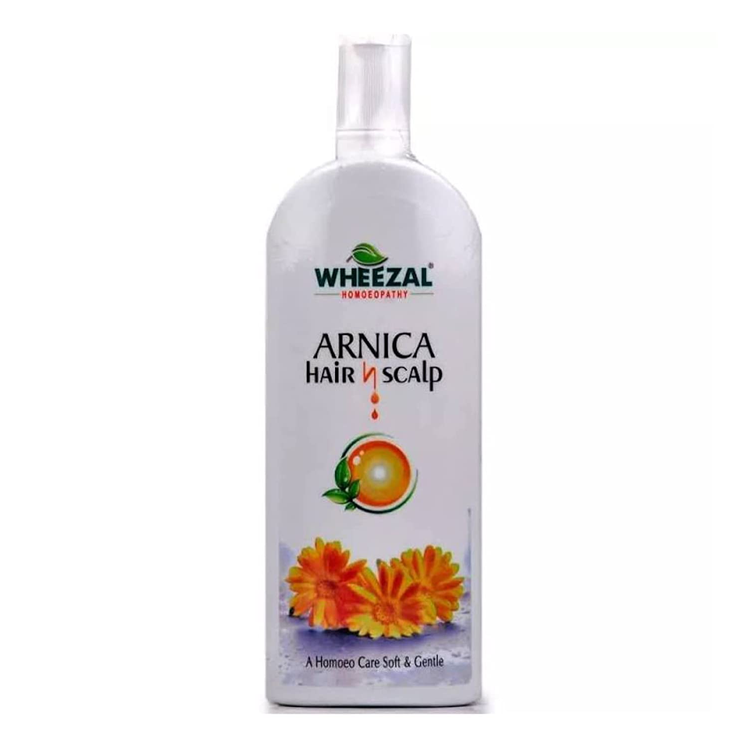 Wheezal Arnica Hair and Scalp Shampoo